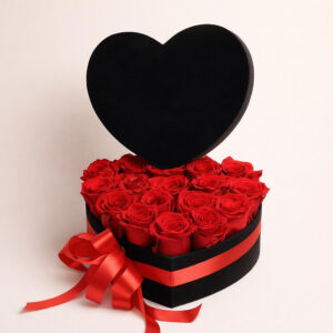 I love you srce box AI 1