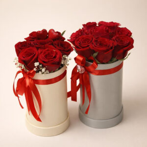 Flower box mini AI 1